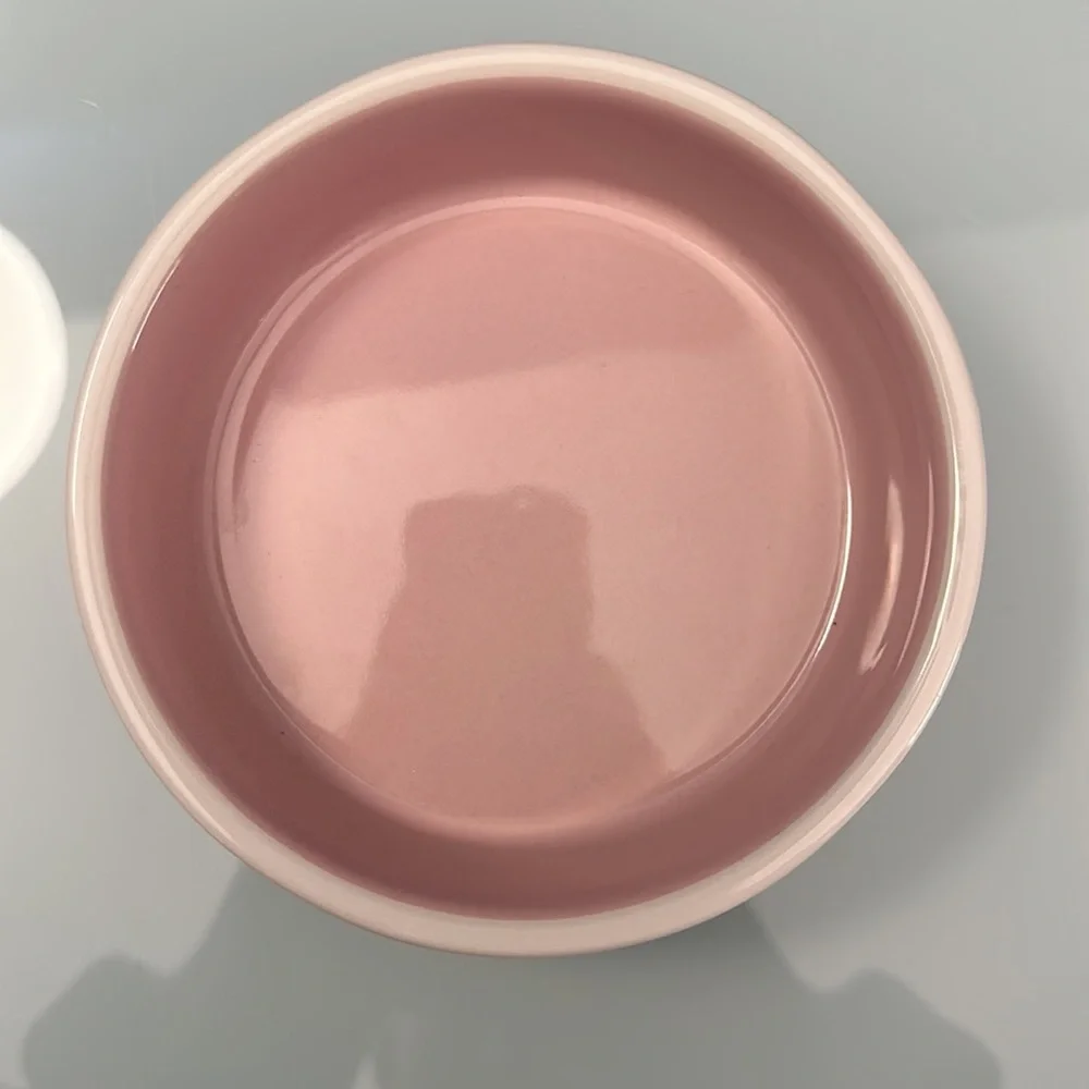 New Rae Dunn Cat Dish